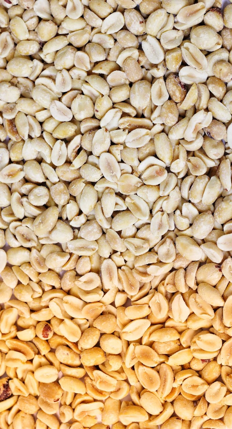 Shea Nuts
